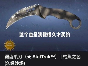 CSGO 高清视频免费播放软件：畅享精彩游戏瞬间的绝佳选择