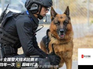 警犬张津瑜 6 分钟事件引发热议