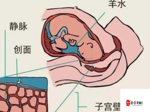 人进入羊水门最怕的三种东西：神秘恐惧之源