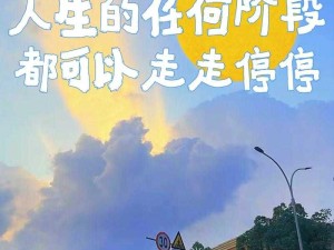 bt 在线 www 天堂网宣告停运：曾经的热门平台为何走到尽头