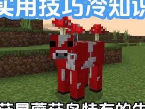 暴躁老外玩MINECRAFT科技技巧-令人惊叹的独特玩法大揭秘