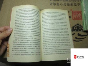 欧洲家庭史 7726：探寻古老欧洲家族的传奇过往