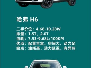 国产又大又便宜的 SUV：高性价比之选，满足你的多样需求