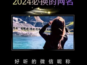 2024 猫咪最新地域网名：独特魅力引领潮流风尚