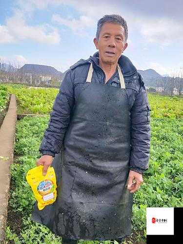 杨氏牡户又肥又厚：探究其特点和优势