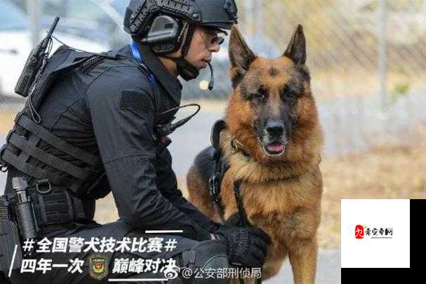 警犬张津瑜 6 分钟事件引发热议