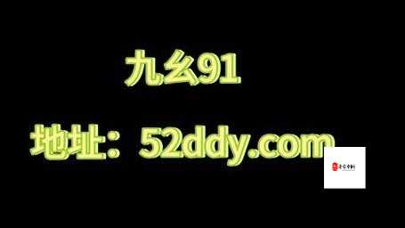 九幺91 旧版安装 8 月 6 号相关内容详细介绍及注意事项