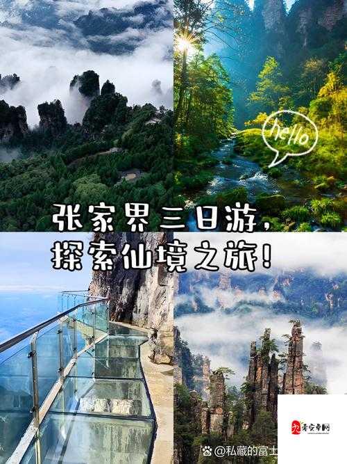 俺也去最新地址：带你开启全新探索之旅的入口