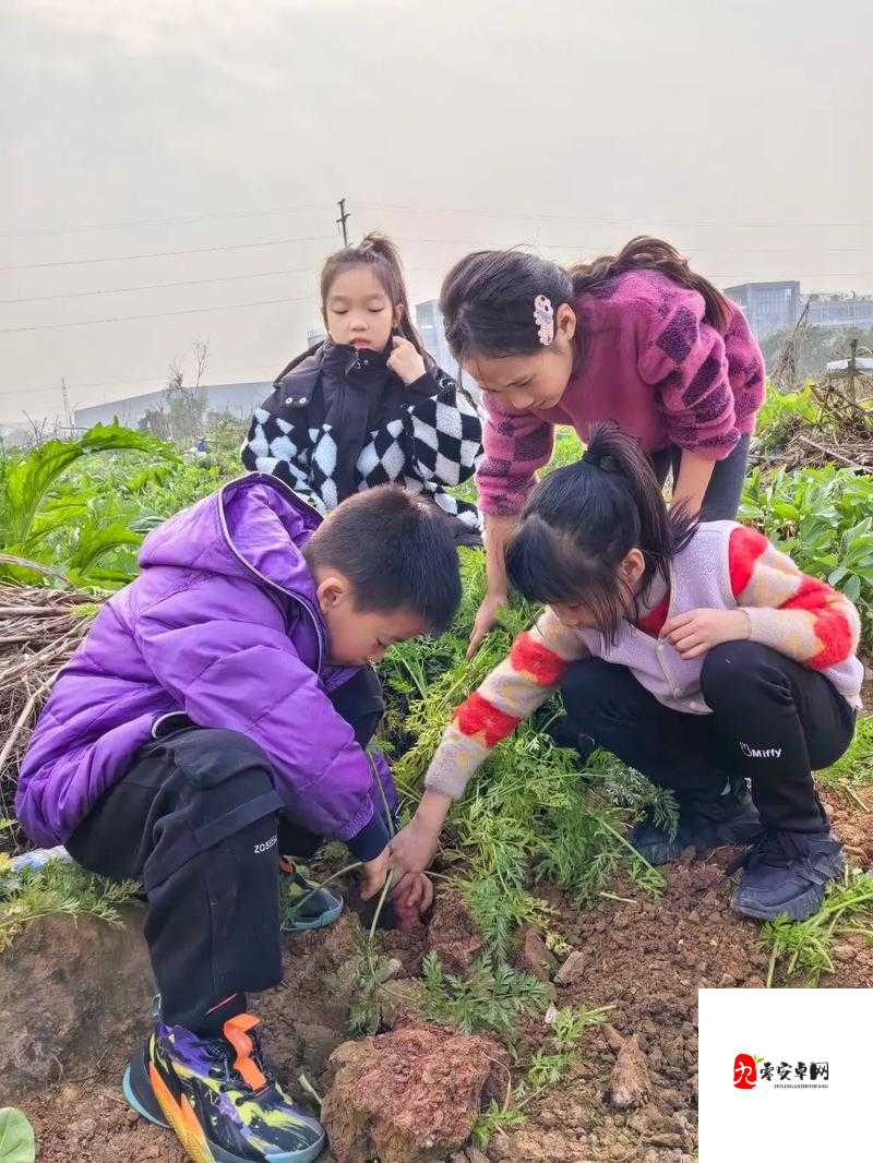 二人世界拔萝卜第一人称：畅享私密田园的甜蜜时光