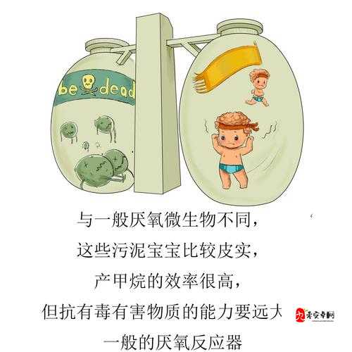 ：美逼水污污污：环保与美丽的奇妙碰撞