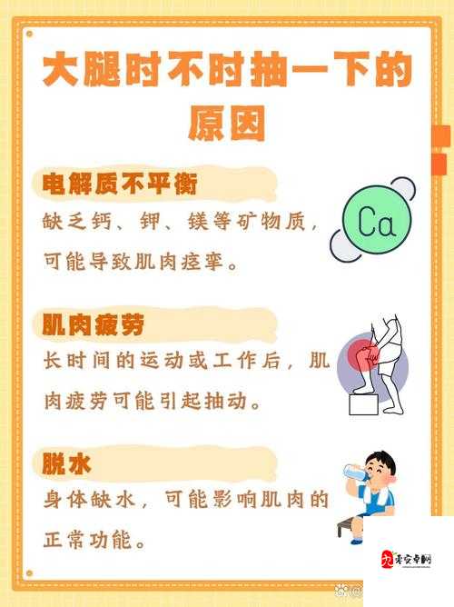 看我们结合的部位律动：探寻其背后的奥秘与意义